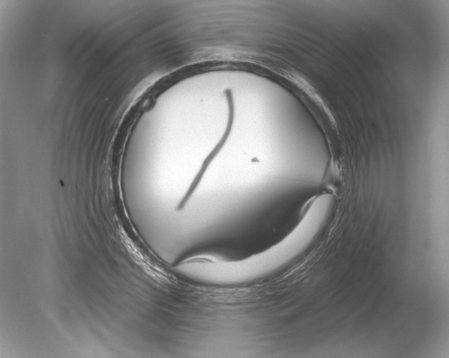 X0000078890972200612111801