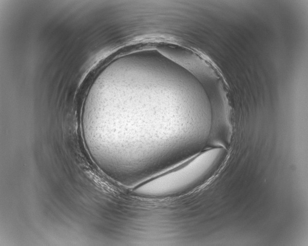 X0000078890973200612111801