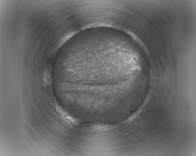 X0000078890977200612111801