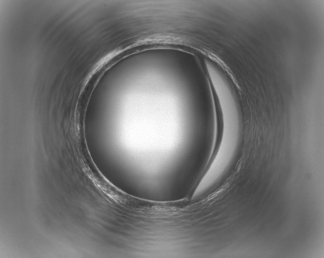 X0000078890981200612111801