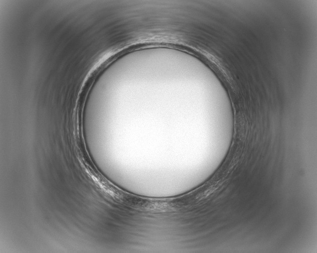 X0000078890982200612111801