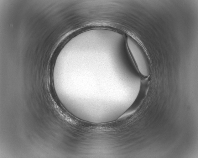 X0000078890984200612111801