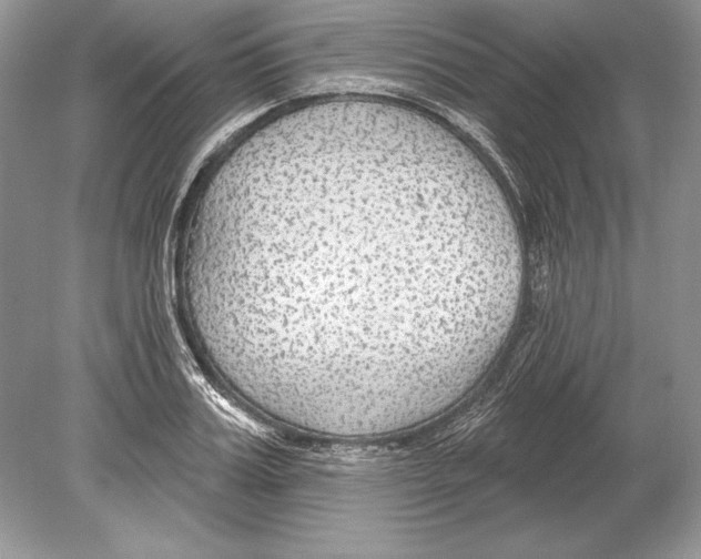 X0000078890987200612111801