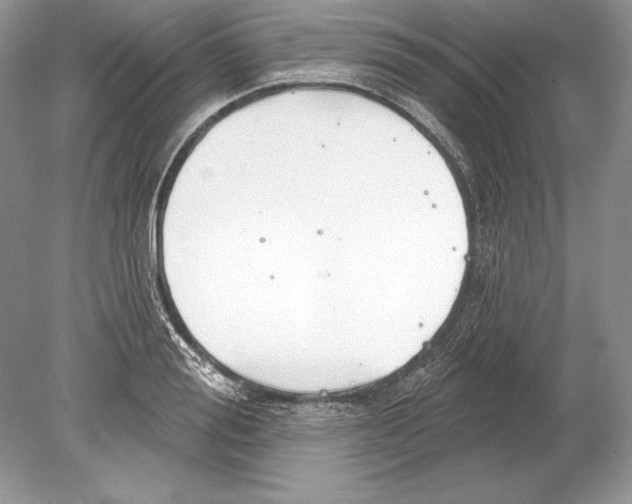 X0000078890988200612111801