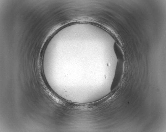 X0000078890990200612111800