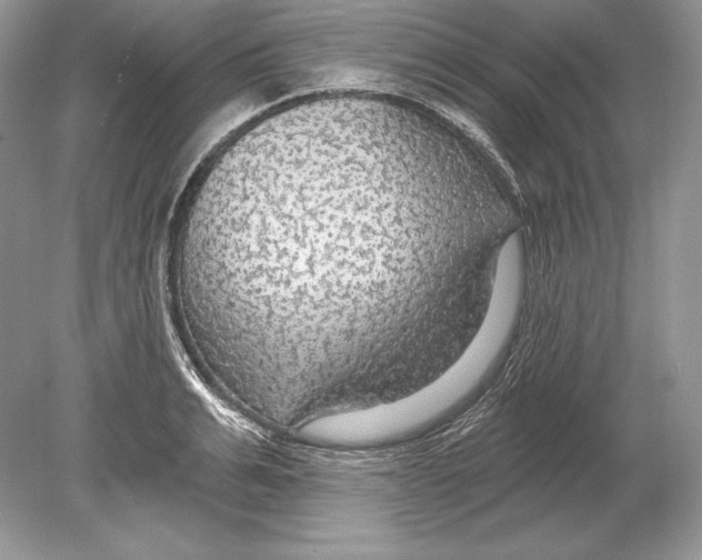 X0000078890991200612111800