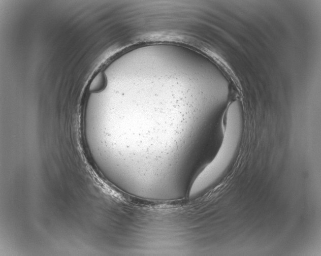 X0000078890992200612111800