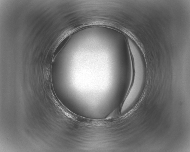 X0000078890993200612111800