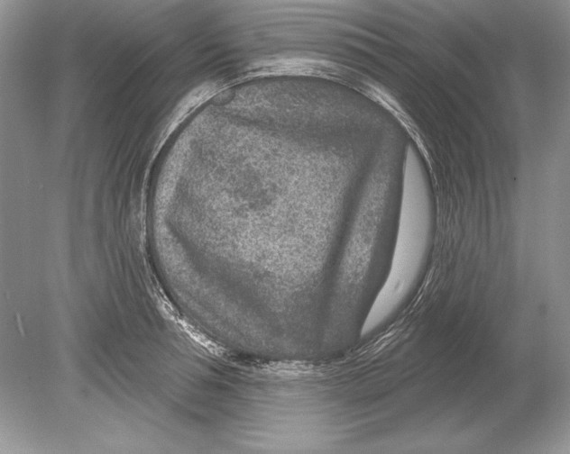 X0000078890994200612111800