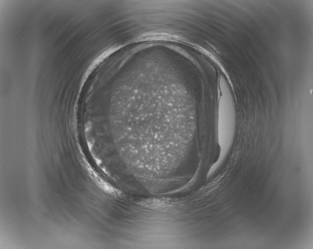 X0000078890995200612111800