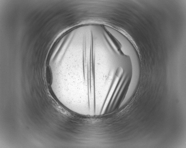 X0000078890996200612111800