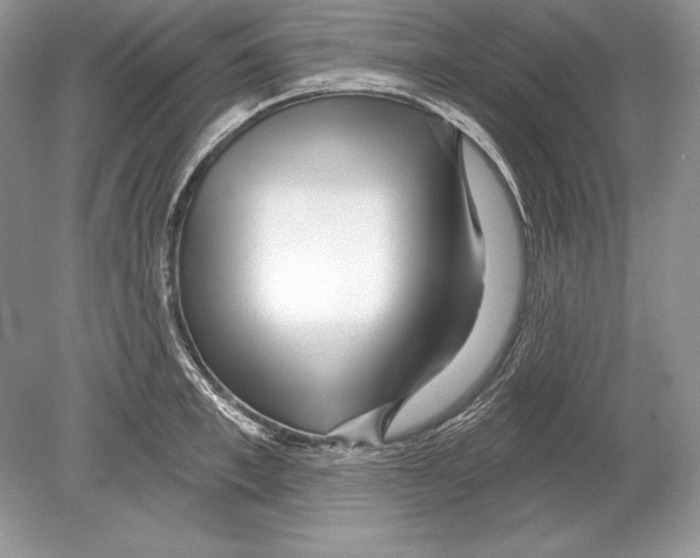 X0000078890997200612111800