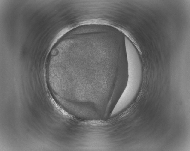 X0000078890998200612111800