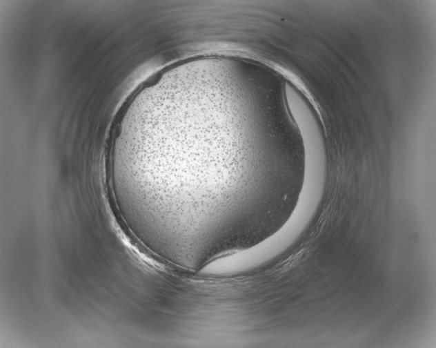 X0000078890999200612111800