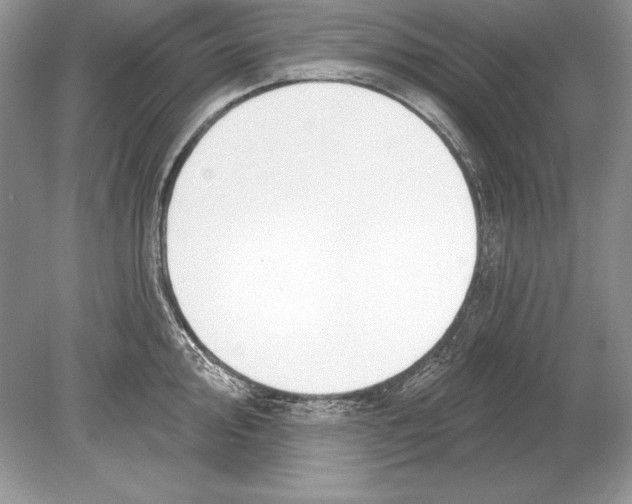 X0000078891000200612111800