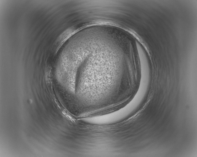 X0000078891001200612111800