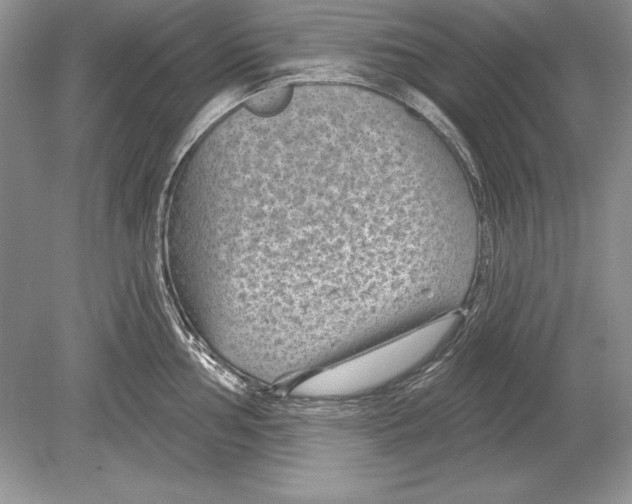 X0000078891002200612111800