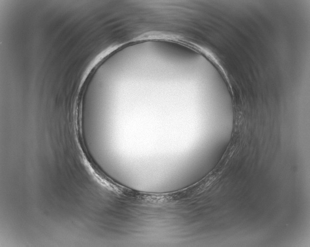 X0000078891003200612111800