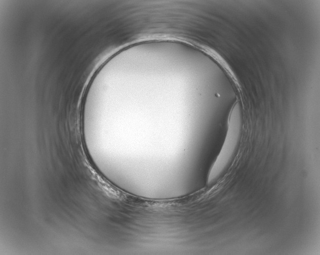 X0000078891004200612111800