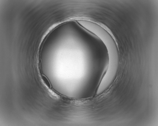 X0000078891005200612111800