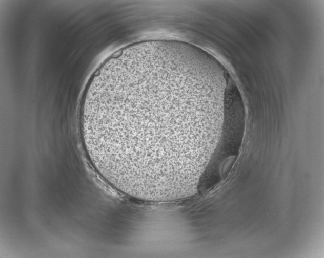 X0000078891008200612111800