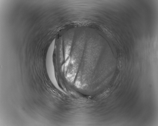 X0000078891010200612111759