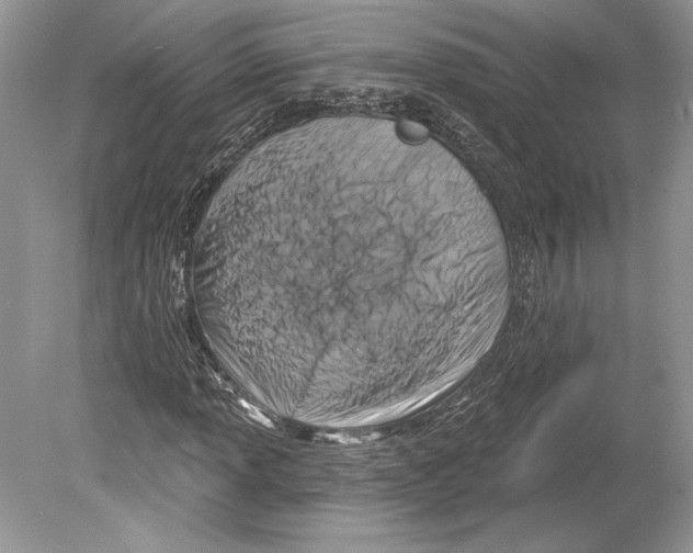 X0000078891013200612111759