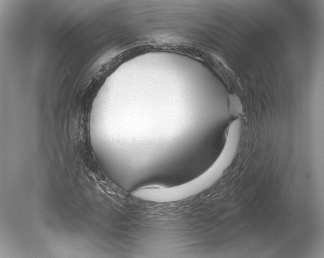 X0000078891016200612111759