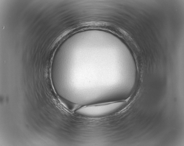 X0000078891017200612111800