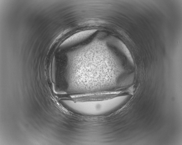 X0000078891018200612111800