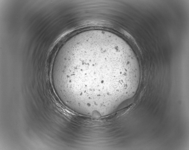 X0000078891019200612111800