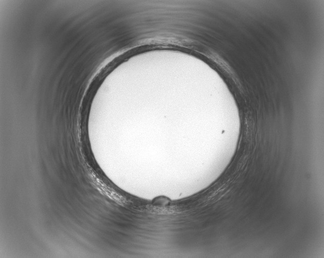 X0000078891020200612111800