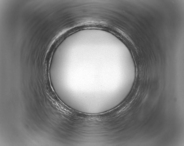 X0000078891021200612111800