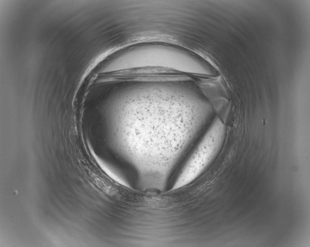 X0000078891022200612111800