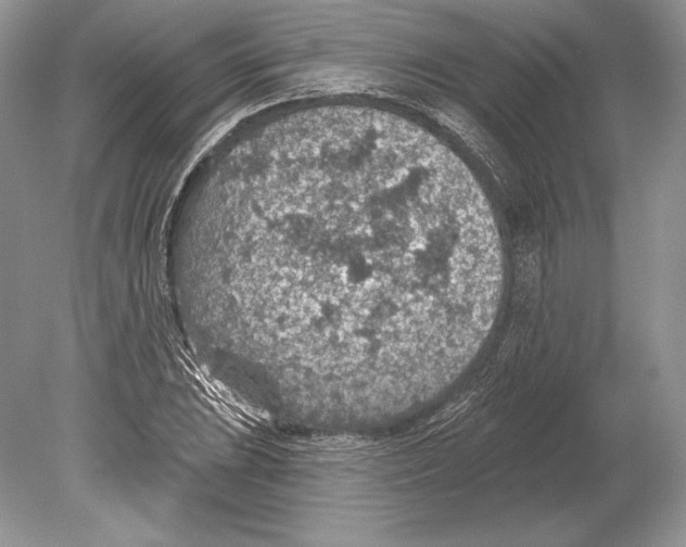 X0000078891023200612111800