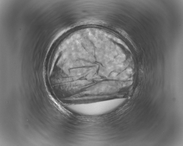 X0000078891024200612111800