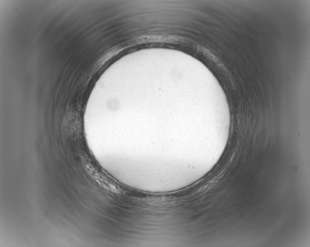 X0000078891025200612111800