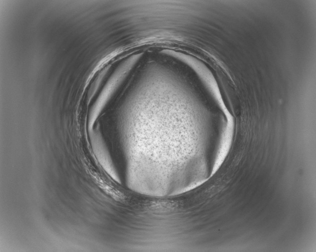 X0000078891026200612111800