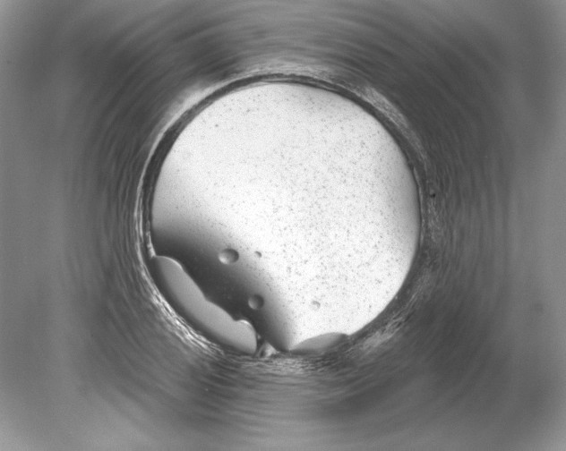 X0000078891028200612111800