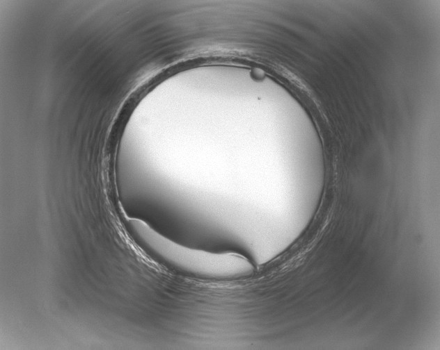 X0000078891029200612111800