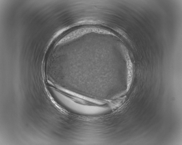 X0000078891030200612111800