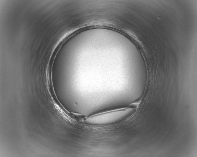 X0000078891032200612111800