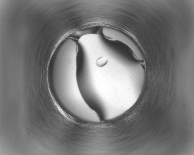 X0000078891034200612111800