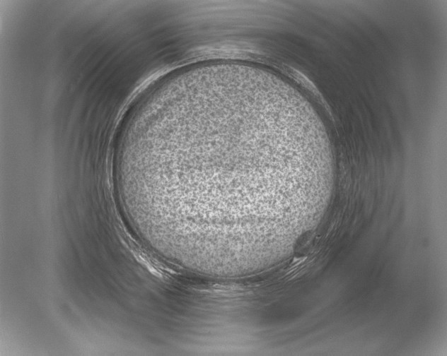 X0000078891035200612111800