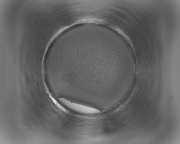 X0000078891037200612111800