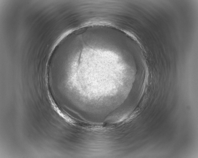 X0000078891038200612111800