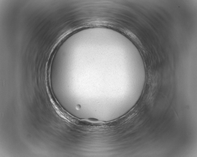 X0000078891039200612111800