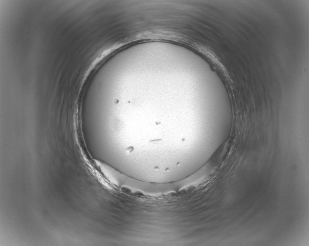 X0000078891040200612111800