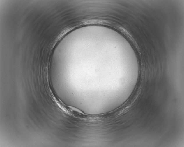 X0000078891041200612111800