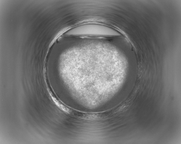 X0000078891042200612111800